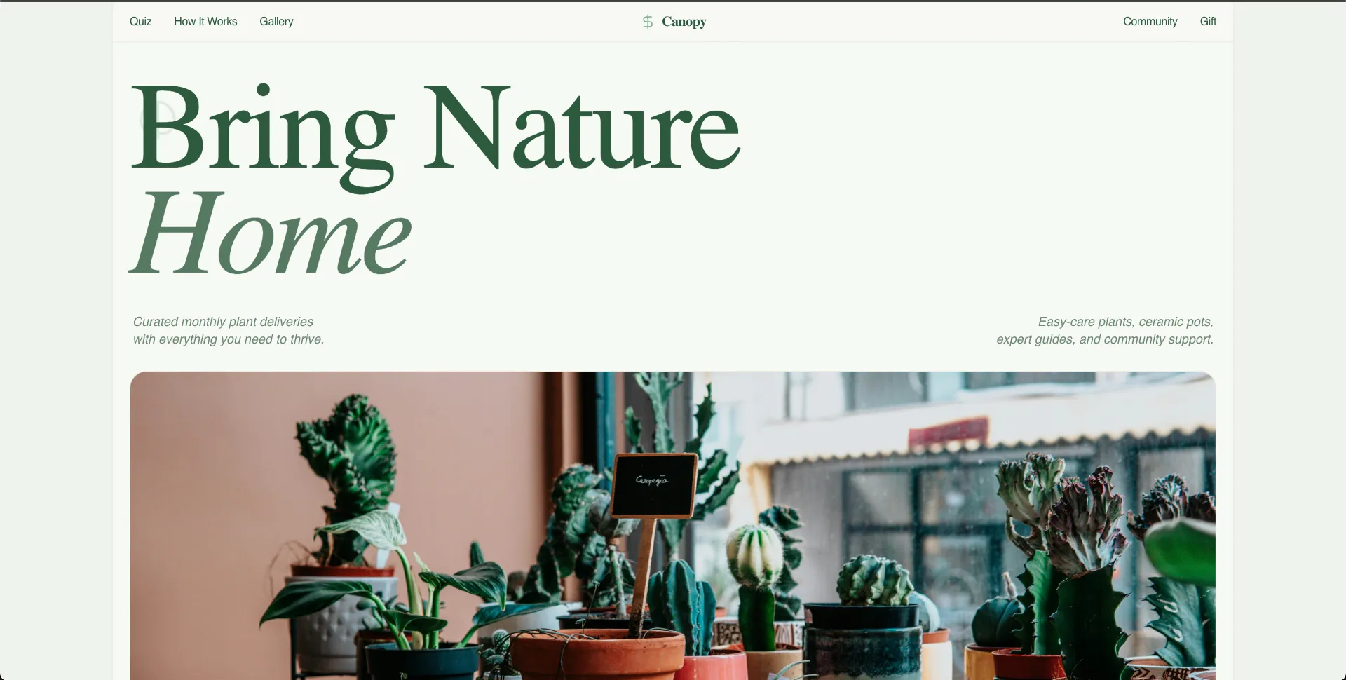 Canopy Plants